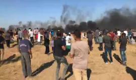 بدء توافد المواطنين إلى مخيمات العودة على طول الحدود الشرقية #لمدينة_خانيونس للمشاركة في جمعة "لن تمر المؤامرة على حقوق اللاجئين".
#مسيرة_العودة_الكبرى
تصوير  يوسف اصليح