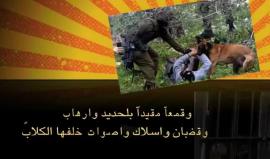 انتفض من أجل أسرى الحرية إضراب الكرامة القاء سعيد شبارو