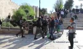 #شاهد استنفار لقوات الاحتلال في أعقاب تظاهرة عند باب العامود بالقدس خرجت نصرة لغزة

تصوير: محمد قاروط ادكيدك