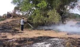 #فيديو اشتعال النيران في "محمية كارميا" قرب حدود شمال قطاع غزة بفعل بالون حارق