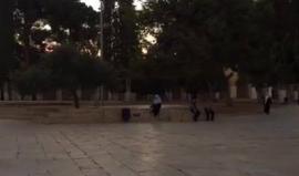 #بث_مباشر من المسجد الأقصى المبارك
تصوير: Alaa Sous