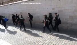 #شاهد وصول مجموعات جديدة من قوات الاحتلال الى باب الأسباط والبلدة القديمة في القدس المحتلة.
تصوير: محمد قاروط ادكيدك