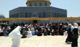#مباشر خطبة وصلاة الجمعة من المسجد الأقصى المبارك في يوم #مليونية_القدس
#يوم_القدس_مسيرة_العودة