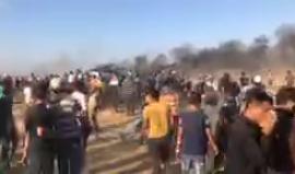 شاهد العدو الصهيوني يطلق الرصاص الحي وقنابل الغاز على المتظاهرين شرق مدينة خانيونس في #جمعة_الخان_الاحمر
تصوير يوسف اصليح