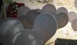 #شاهد : الشباب الثائر يرسل رسالةً للاحتلال أثناء إطلاق دفعة من البالونات الحارقة والطائرات الورقية صوب أحراش الاحتلال في الكيبوتسات المحاذية لشرق #غزة .