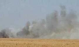 #شاهد اندلاع النيران في حقول المستوطنين في غلاف غزة بفعل طائرة ورقية حارقة