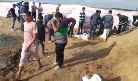 #مباشر 

شبان فلسطينيون يستعدون لجمعة #الشباب_الثائر ، ويقومون بتجهيز عدد من السواتر الترابيةشرق مخيم البريج  بالمحافظة الوسطى ، لحمايتهم من رصاص قناصة جيش الاحتلال .

بث مراسلنا : أحمد المقادمة