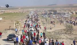 #شاهد: تايم لابس للجماهير المشاركة في مخيم العودة شرق #غزة في #جمعة_الحرية_والحياة