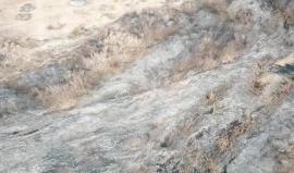 تصوير جوي .. 

#شاهد حريق كبير التهم مساحات شاسعة في الداخل المحتل بفعل طائرة ورقية حارقة اليوم