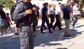 وسط صيحات التكبير .. مستوطنون يقتحمون المسجد الأقصى