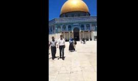 #شاهد : مباشر توافد المصلين بأعداد كبيرة لأداء صلاة الجمعة في المسجد الأقصى المبارك