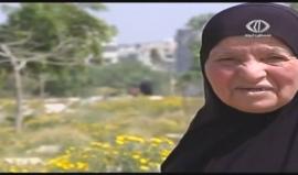 تعرف على "خنساء فلسطين" الحاجة أم رضوان الشيخ خليل 
تقرير سابق لقناة فلسطين اليوم