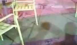 قوات الاحتلال تنتشر قرب شاطئ البحر في ام الرشراش