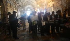 #شاهد: استمرار صراخ المستوطنين عند باب القطانين وسط اقتحامات واسعة للمسجد الاقصى المبارك من قبل اليهود . 
تصوير محمد عبد ربه