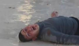 أخبرني أنت أيها الغاز السام كيف عدمت البراءة بصمت ؟! 
قصيدة #خان_شيخون أداء: صبّاح قريبه