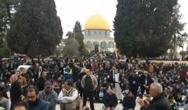 #شاهد #مباشر خطبة وصلاة الجمعة من العاصمة الفلسطينية المحتلة - المسجد الأقصى المبارك