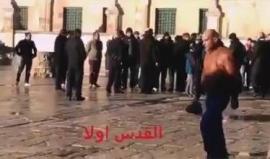 #شاهد مستوطنون يقتحمون المسجد الأقصى بحماية أمنية