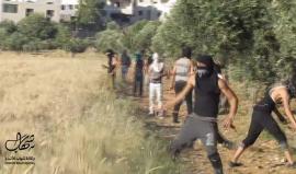 #شاهد
مواجهات بلدة تقوع جنوب بيت لحم تزامناً مع مسيرة العودة الكبرى 
 تصوير صبري جبريل