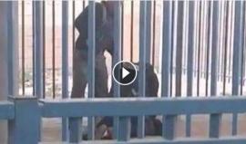 #شاهد لحظة اعتقال منفذة عملية الطعن على حاجز قلنديا شمال القدس صباح اليوم والتي أصيبت فيها مجندة اسرائيلية