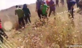 #شاهد
شاب مبتور القدم يرفع العلم الفلسطيني شرق قطاع غزة اليوم خلال المواجهات التي اندلعت مع الاحتلال