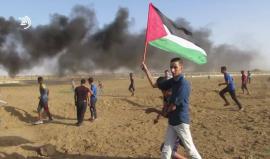 فيديو : مشاهد منوعة من مسيرة العودة الكبرى خلال #جمعة_الوفاء_للجرحى بمخيم العودة شرق غزة .