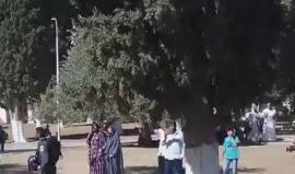 #شاهد توتر شديد في المسجد الأقصى عقب اقتحام المستوطنين لباحاته ومحاصرة المصلين في المصلى القبلي