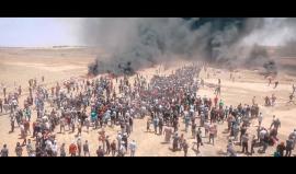 لأنهم الجرحى بلسم العودة.. 
دعوة عامة للمشاركة في #جمعة_الوفاء_للجرحى يوم الجمعة 22/6/2018