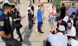 #فيديو 100 مستوطن اقتحموا باحات المسجد الأقصى المبارك بحماية قوات الاحتلال اليوم