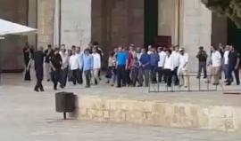 #شاهد مستوطنون يقتحمون ساحات المسجد الأقصى بحماية أمنية مشددة