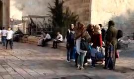 #شاهد #مباشر الطريق من باب العامود الى باب المجلس عبر البلده القديمه دخولا الى المسجد الأقصى ..