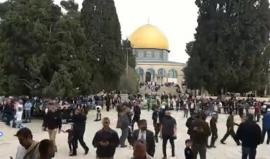 #مباشر من المسجد الأقصى المبارك صلاة الجمعة - العاصمة الفلسطينية