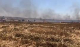 #فيديو اشتعال للنيران في أراضي "بئيري" قرب حدود غزة بفعل طائرة ورقية حارقة