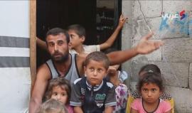 عائلة فلسطينية تسكن في دفيئة زراعية بانتظار "الإعمار"

في ظروف معيشية قاسية للغاية؛ تقيم عائلة الفلسطيني موسى أرسان أبو جامع (36 عاما)، في بيت مؤقت، هو عبارة عن دفيئة زراعية لا تتجاوز مساحتها الـ40 مترا مربعا.

كاميرا "عربي21"، التقت العائلة المكونة من تس