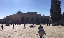 #بث_مباشر | جانب من خطبة الجمعة بالمسجد الأقصى