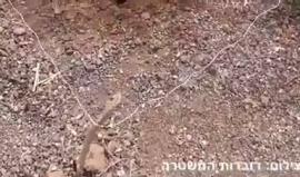 الاحتلال ينشر فيديو لمكان الصاروخ الذي سقط بمنطقة مفتوحة بعسقلان المحتلة