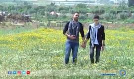 #شاهد الفلسطيني يغني "أنا لن أنساك"

تقرير: هنادي نصرالله