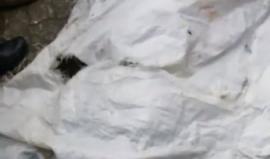 مقتل 7 مواطنين وإصابة نحو 30 آخرين عدد منهم بحالة الخطر، اثر انفجار اسطوانة غاز في منزل بحي الصبرة بمدينة غزة . 
تصوير كامل الهيقي