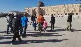 #شاهد ٣١ مستوطنًا يقتحمون ساحات #المسجد_الأقصى بحراسة شرطة الاحتلال