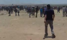 #شاهد فيديو مؤثر التقطه الطفل مصطفى الرنتيسي لحظة اقتحام الشبان أمس للحدود شرق غزة