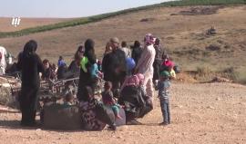 وكالة نبأ السورية:  كارثة إنسانية على الحدود مع #الأردن بفعل النزوح من #درعا دون استجابة من "الأشقاء"