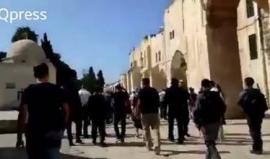 المستوطنون يدنسون المسجد الأقصى المبارك