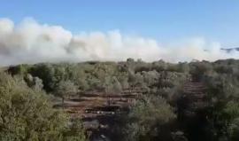 #شاهد النيران المندلعة في منطقة الجليل شمال فلسطين المحتلة.