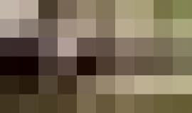 مصاب يهتف والله لأرجع ، والله لأرجع 

#شاهد | إصابة متظاهر برصاص الاحتلال شمال قطاع غزة