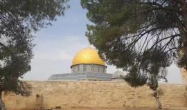 #مباشر في تهويد مستمر.. مستوطنون يقتحمون باحات المسجد الأقصى المبارك بحماية قوات الاحتلال