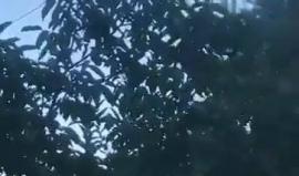 طائرات الاحتلال تُحلق في سماء حماة عقب القصف الإسرائيلي الذي استهدف مركز البحوث العلمية في منطقة مصياف بحماة وسط #سوريا