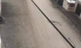 #بث_مباشر مواجهات عنيفة على مدخل بلدة بيت أمر شمالي الخليل 
تصوير عامر ابو عرفة