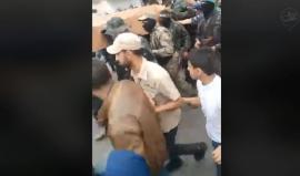 #مباشر من مدينة غزة .. بدء مراسم تشييع الشهيد القسامي محمود القيشاوي الذي ارتقى بانفجار الأمس