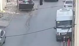 #فيديو تواجد مكثف لقوات الاحتلال في بلدة سلوان جنوب المسجد الاقصى لحماية المستوطنين خلال استيلائهم على أحد منازل البلدة