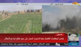 #شاهد #مباشر | مسيرات قرب السياج الفاصل في عدة مناطق من شرق قطاع غزة رفضا للحصار وتضامنا مع الاسرى