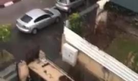 شاهد: أمطار غزيرة تهطل على مدينة يافا صباح اليوم